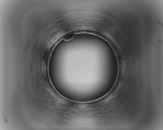 X0000102370969200808081149