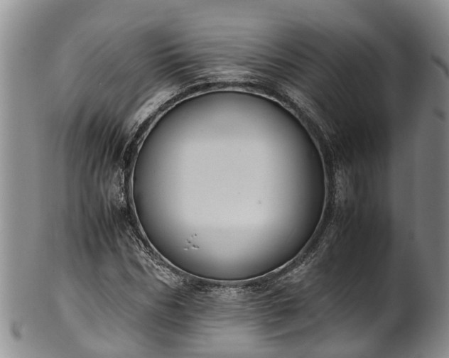 X0000102370970200808081149