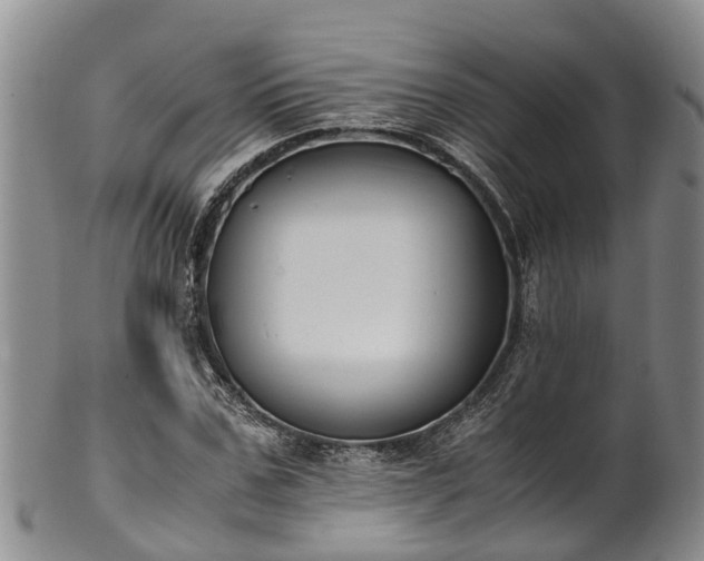 X0000102370971200808081149