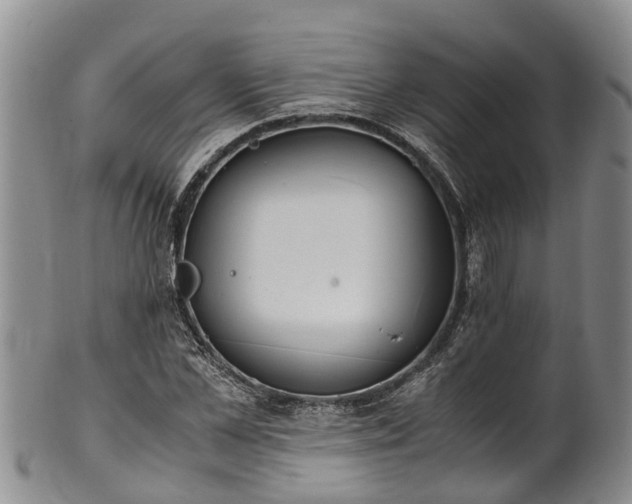 X0000102370973200808081149