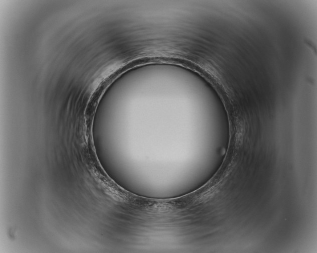 X0000102370974200808081149