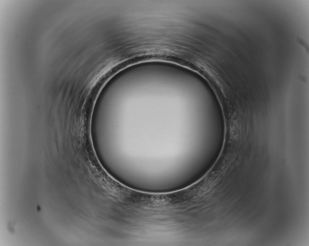 X0000102370975200808081149