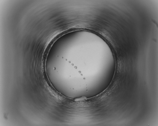 X0000102370976200808081149