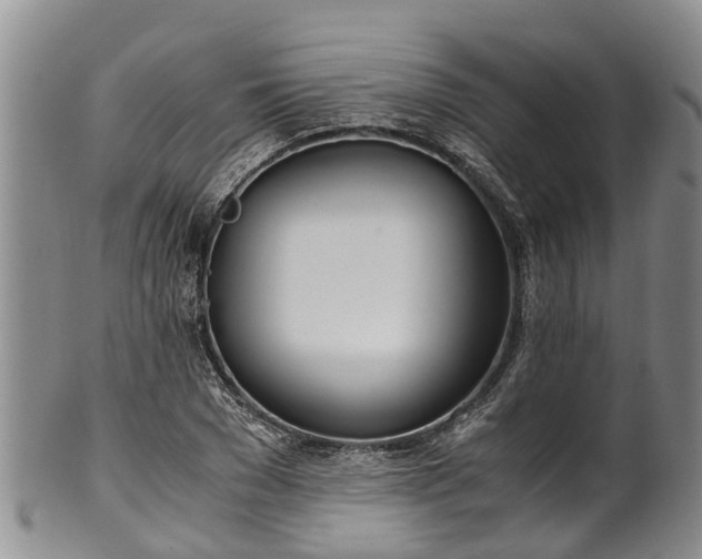 X0000102370977200808081149