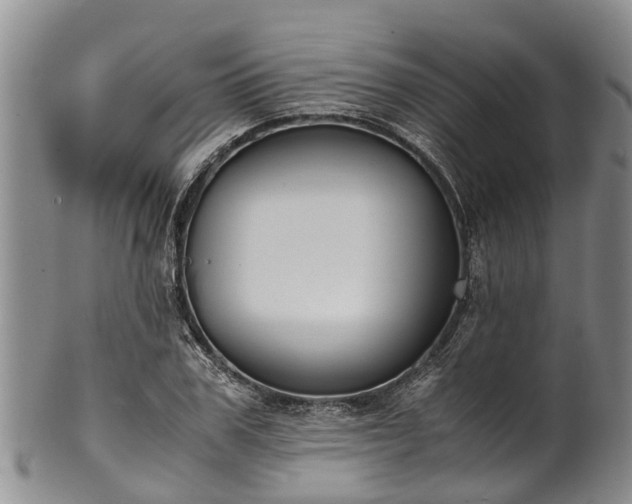 X0000102370979200808081149