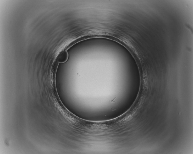 X0000102370981200808081149