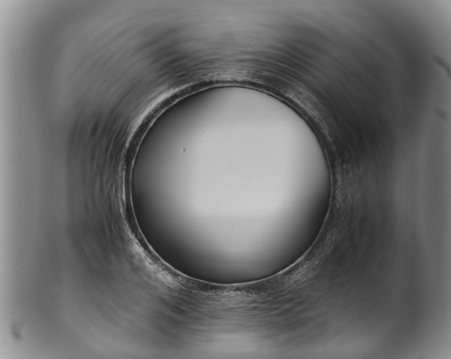 X0000102370984200808081148