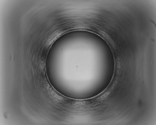 X0000102370985200808081148