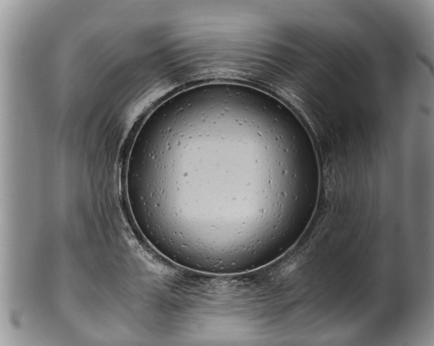 X0000102370987200808081148