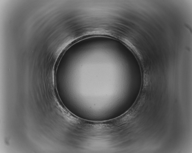 X0000102370988200808081148