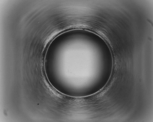 X0000102370989200808081148