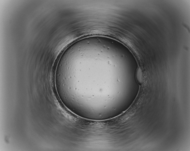 X0000102370991200808081148