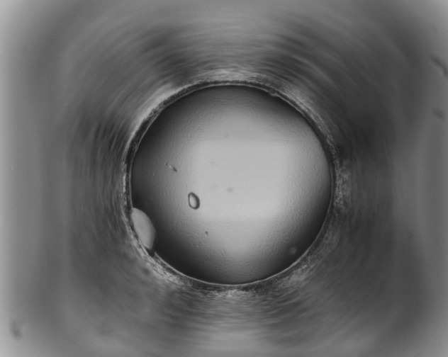 X0000102370992200808081148