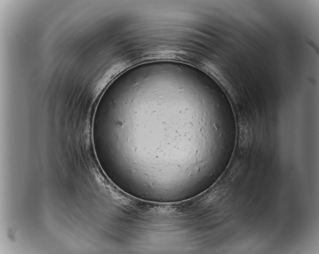 X0000102370994200808081148