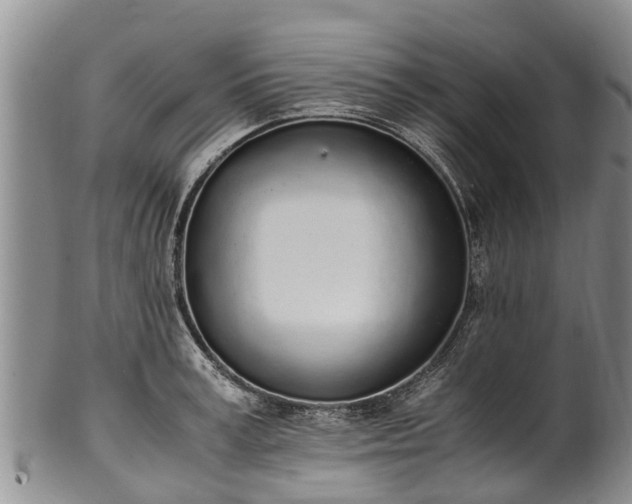 X0000102370995200808081148