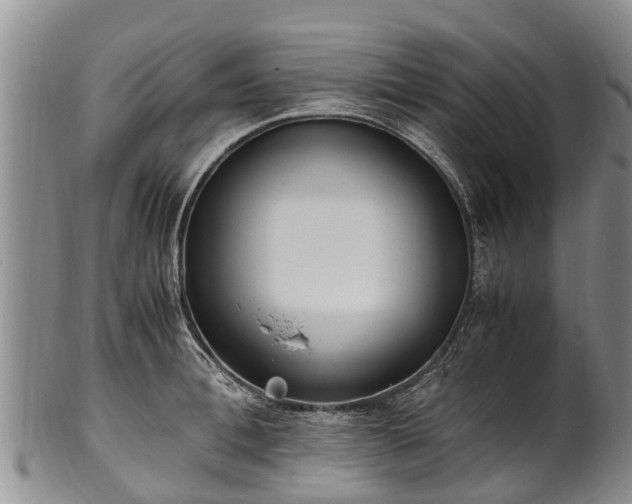 X0000102370996200808081148