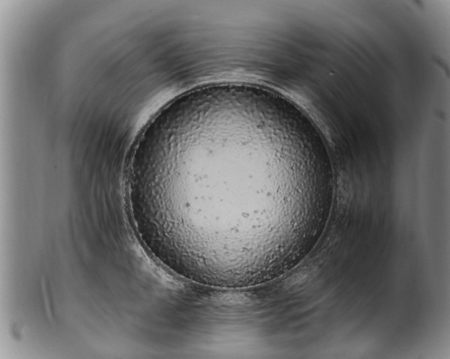 X0000102370998200808081148