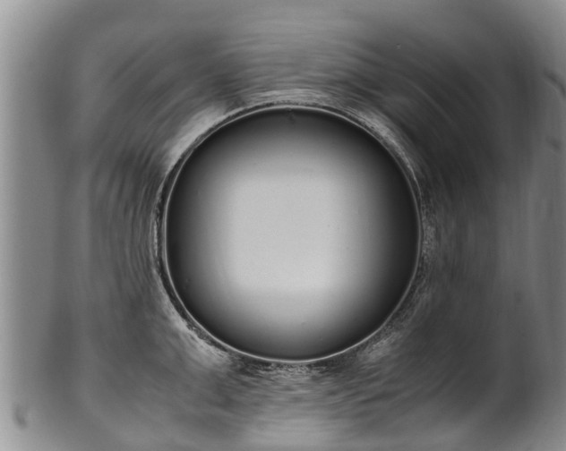 X0000102370999200808081148