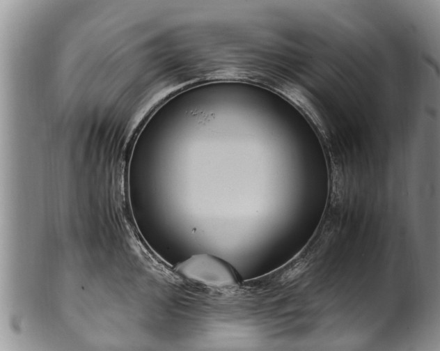 X0000102371000200808081148