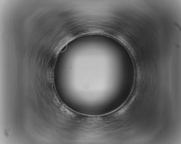 X0000102371001200808081148