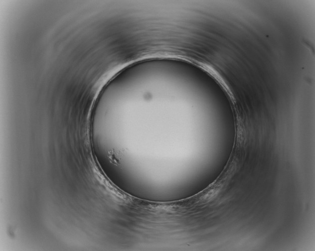 X0000102371004200808081148