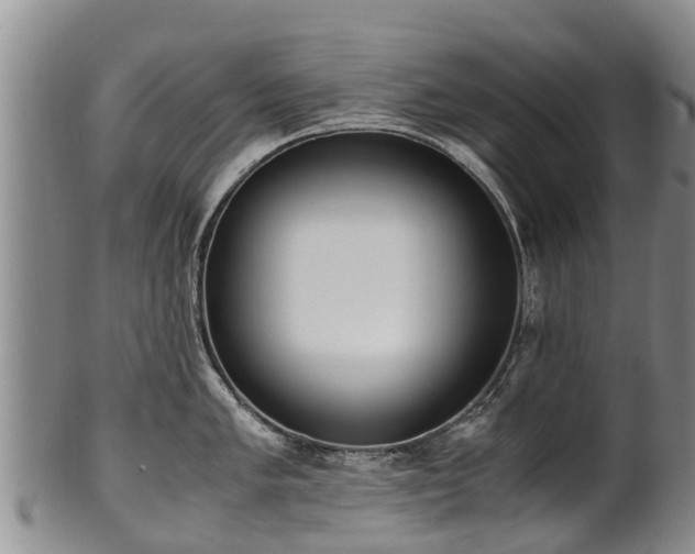 X0000102371005200808081148