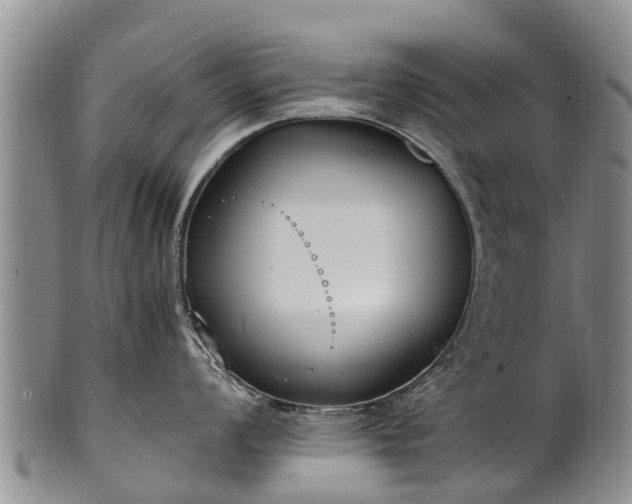 X0000102371008200808081148