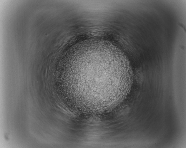 X0000102371009200808081147