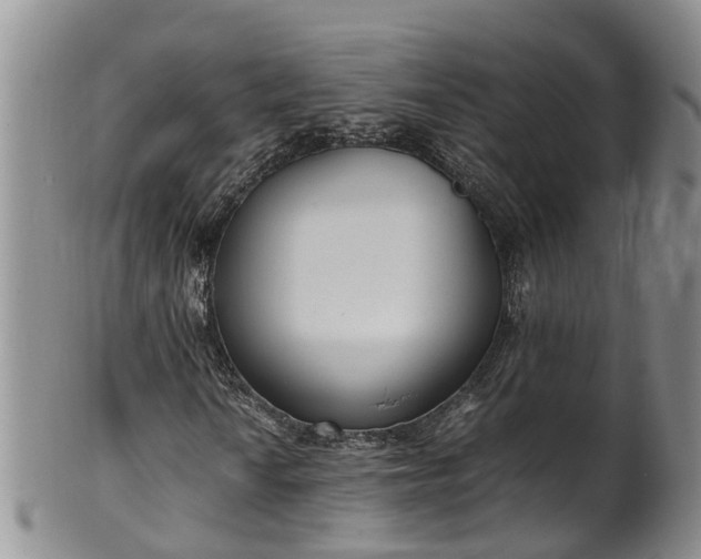 X0000102371010200808081147