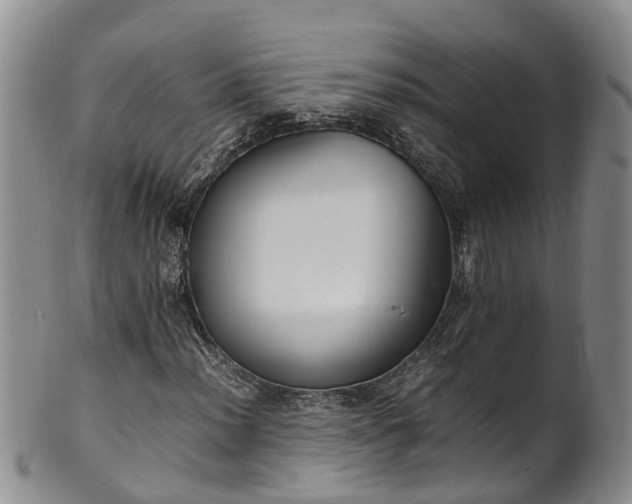 X0000102371012200808081148