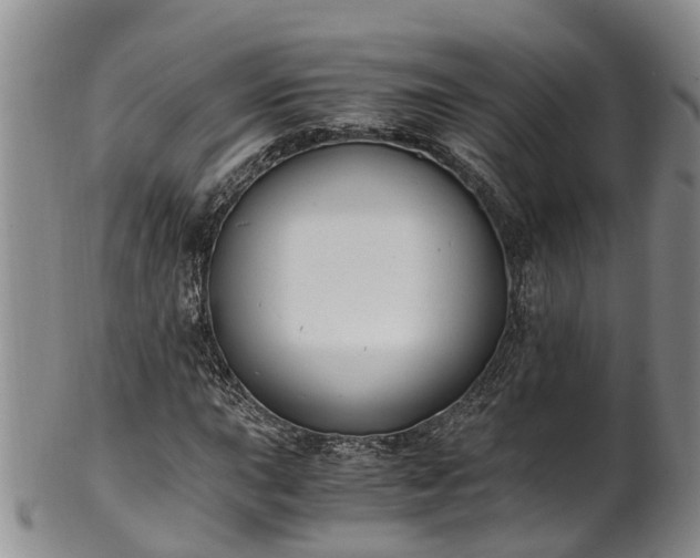 X0000102371015200808081148