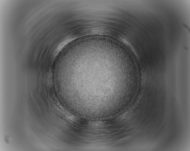 X0000102371019200808081148