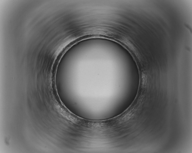 X0000102371020200808081148