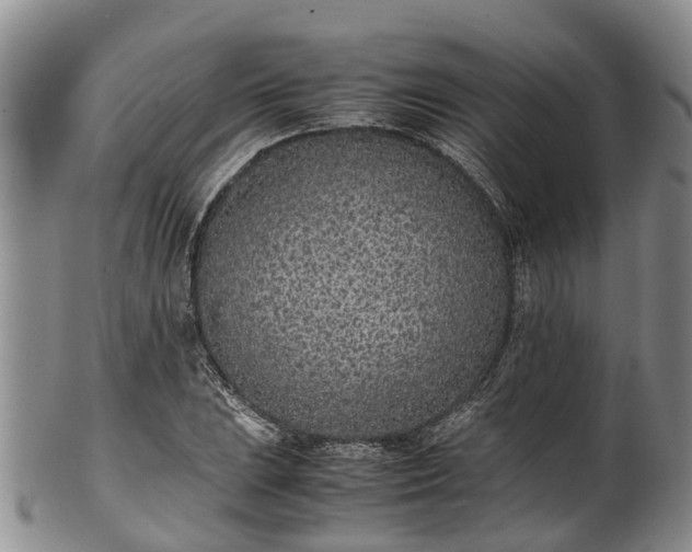 X0000102371023200808081148