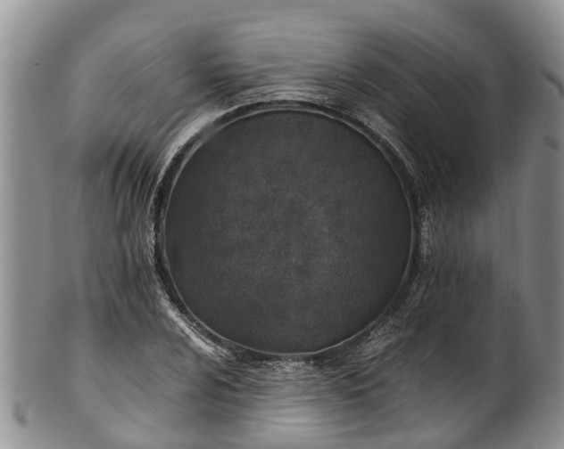 X0000102371024200808081148