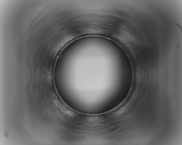 X0000102371025200808081148