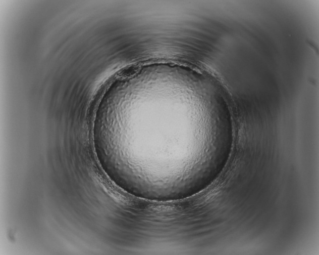 X0000102371027200808081148