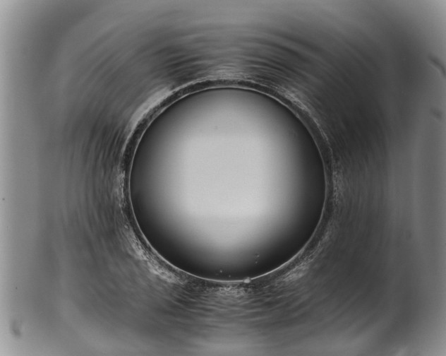 X0000102371029200808081148