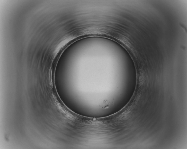 X0000102371030200808081148