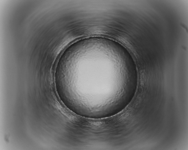 X0000102371031200808081148