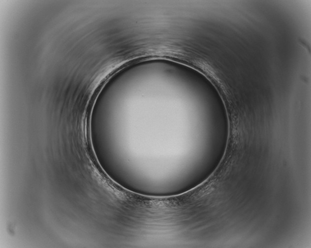 X0000102371032200808081148