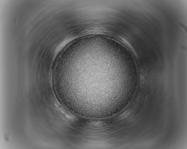 X0000102371035200808081148