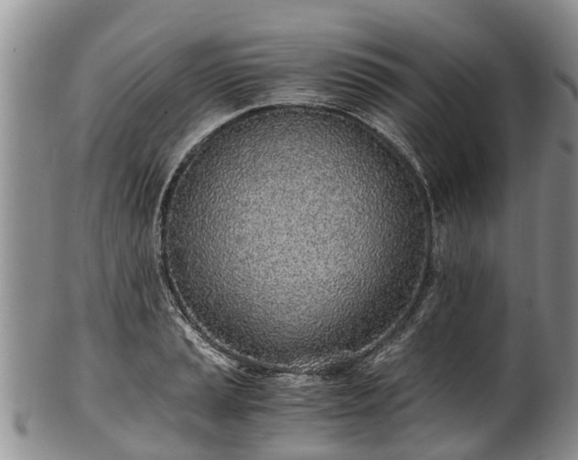 X0000102371037200808081148