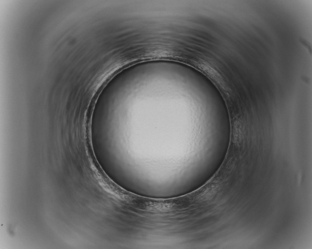 X0000102371039200808081148