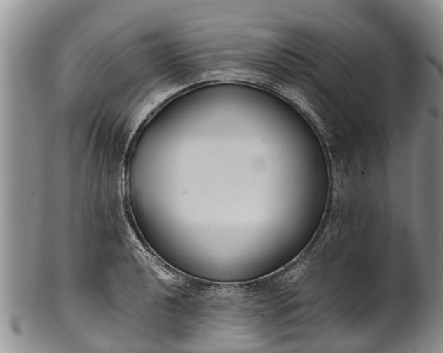 X0000102371040200808081148