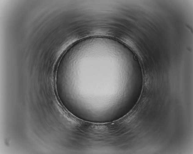 X0000102371043200808081148