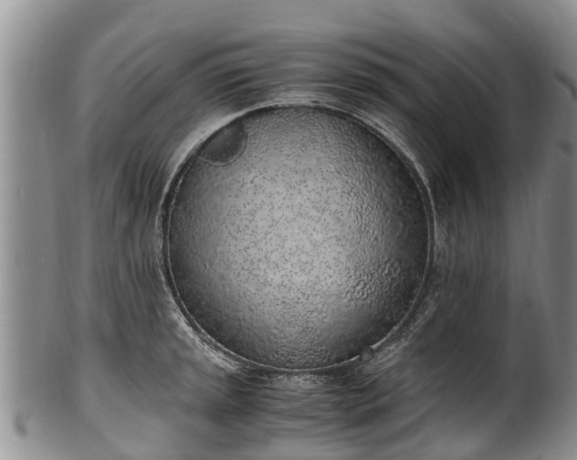 X0000102371045200808081148