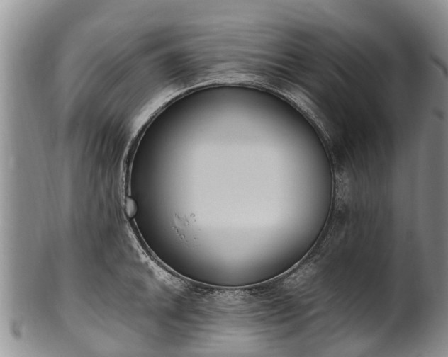 X0000102371046200808081148