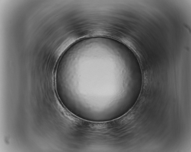 X0000102371047200808081148