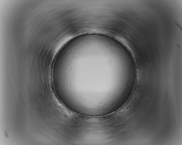 X0000102371048200808081148